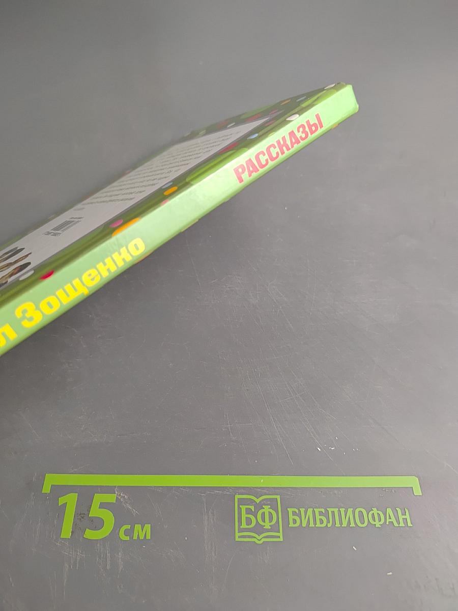 Рассказы (для начальной школы)