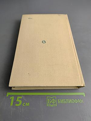 Геометрический лес