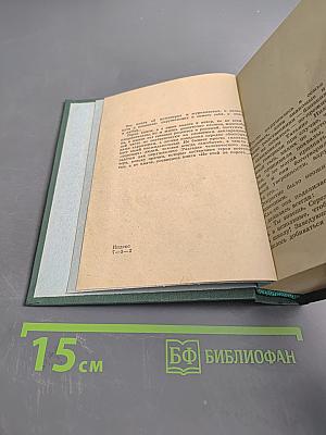 Девичья команда