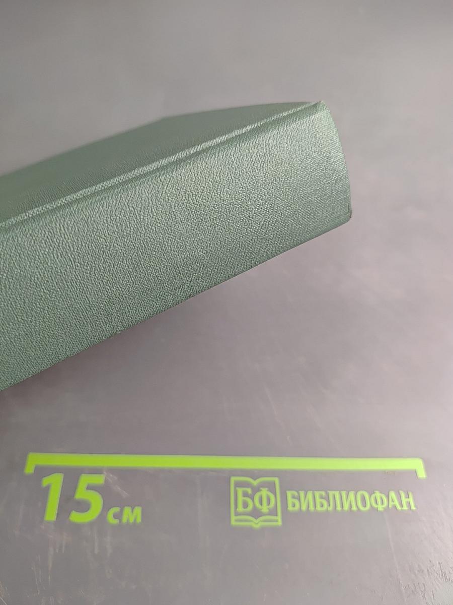 Девичья команда