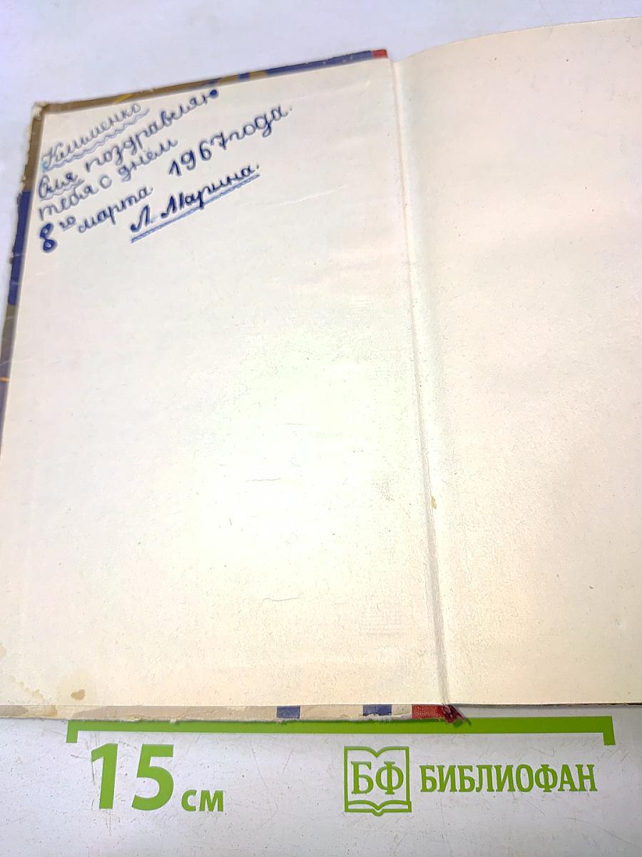 Партизан Леня Голиков