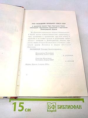 Партизан Леня Голиков