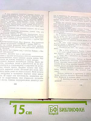 Партизан Леня Голиков