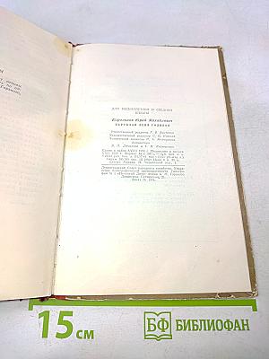 Партизан Леня Голиков