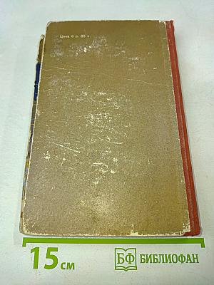 Партизан Леня Голиков