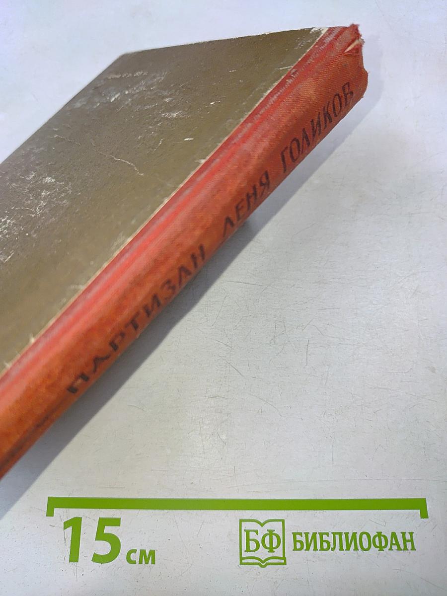 Партизан Леня Голиков