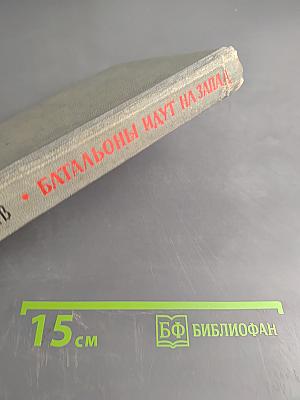 Батальоны идут на Запад