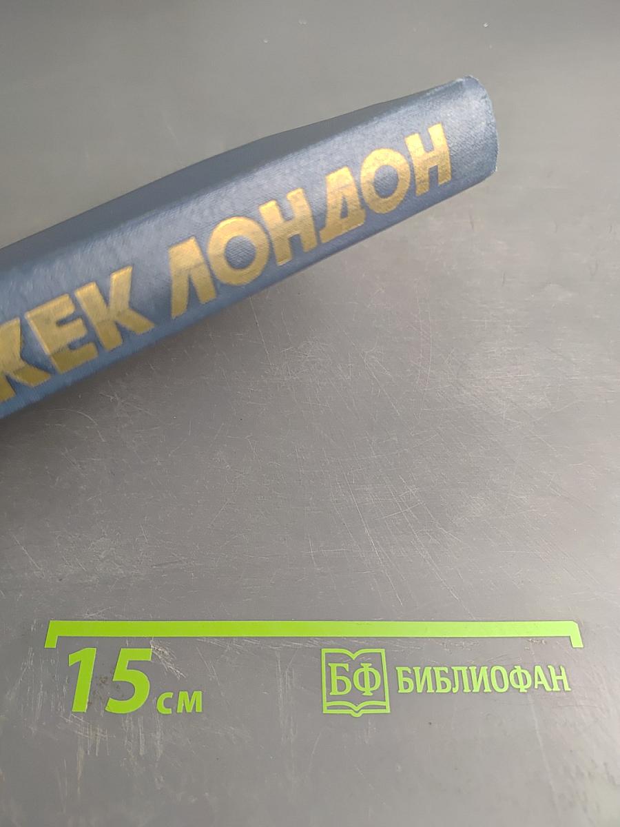 Собрание сочинений в пятнадцати томах. Том 10