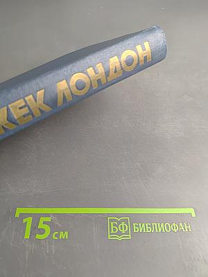 Собрание сочинений в пятнадцати томах. Том 10