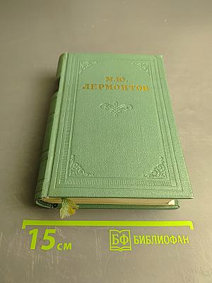 Стихотворения и поэмы. Том второй