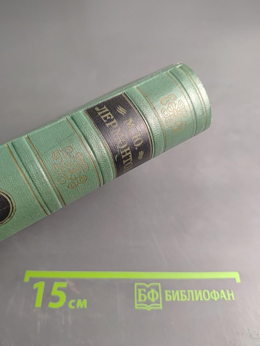 Стихотворения и поэмы. Том второй