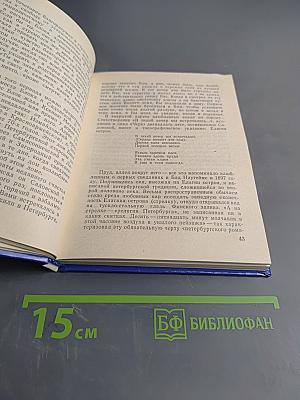 Блок в Петербурге-Петрограде