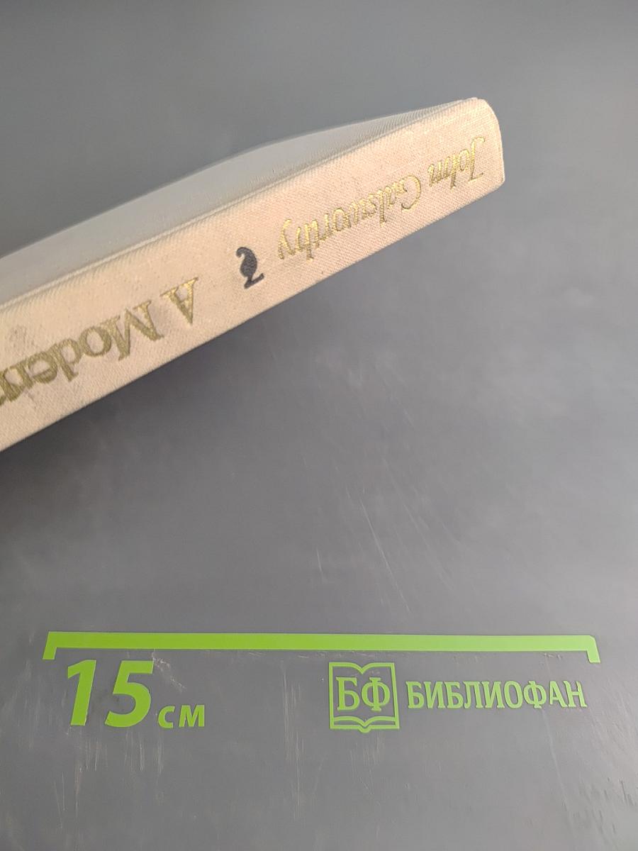 Современная комедия. Книга 2. Серебряная ложка