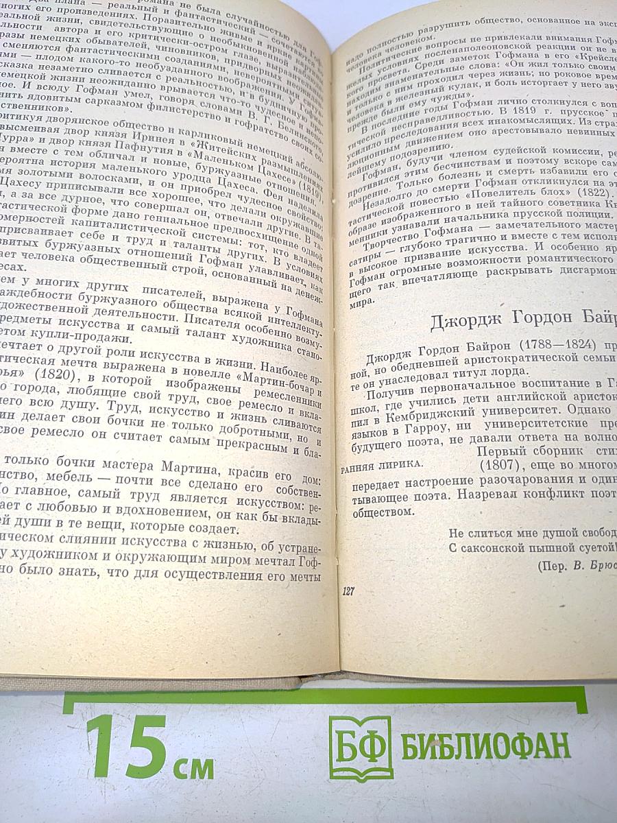 Зарубежная литература. Пособие по факультативному курсу для учащихся VIII-X классов