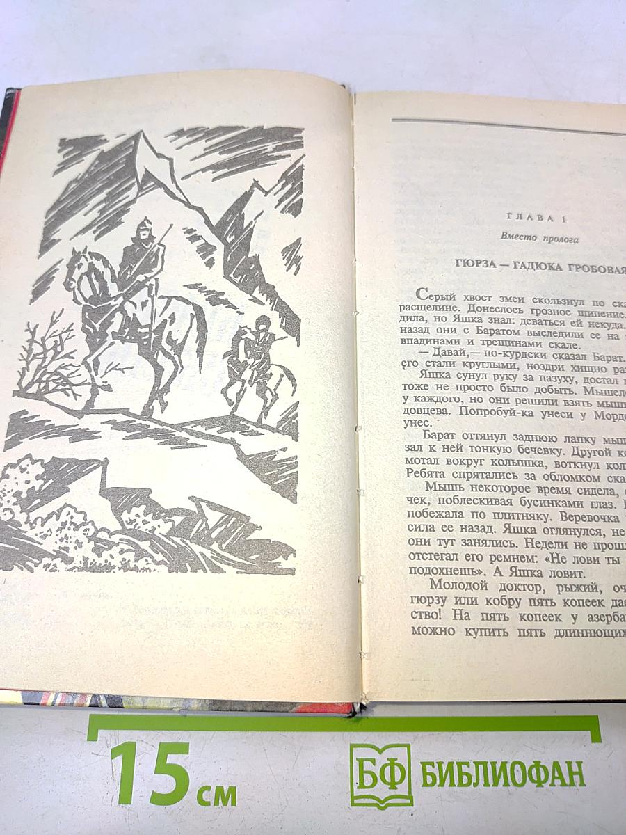 Черный беркут