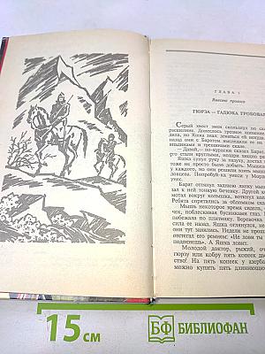 Черный беркут