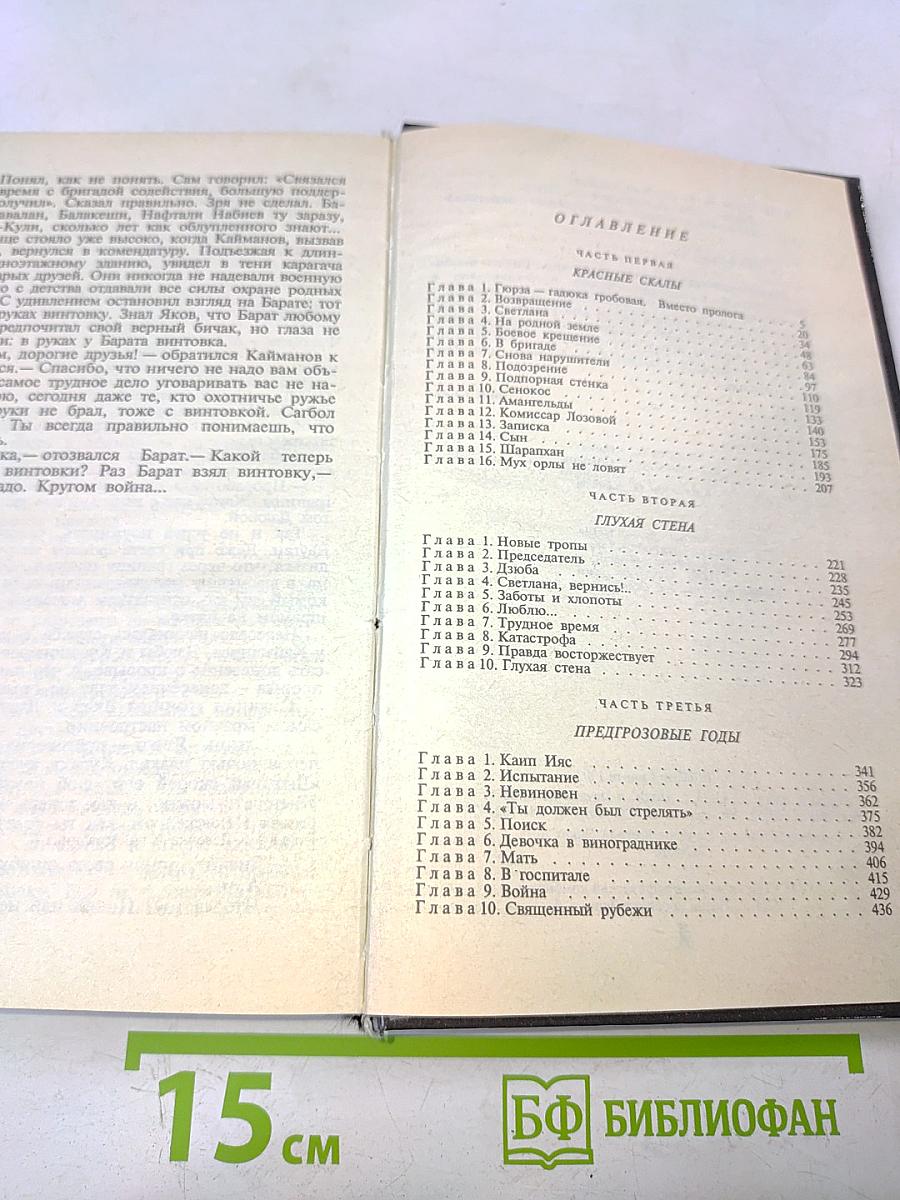 Черный беркут