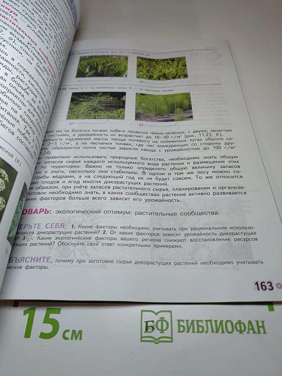 Технология. 6 класс
