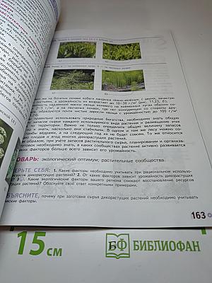 Технология. 6 класс