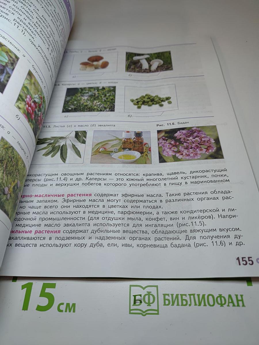 Технология. 6 класс