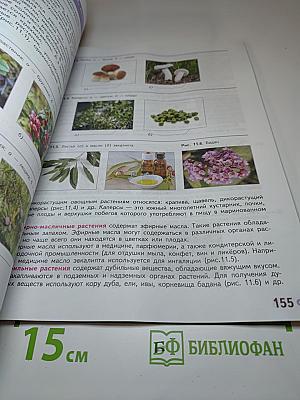 Технология. 6 класс