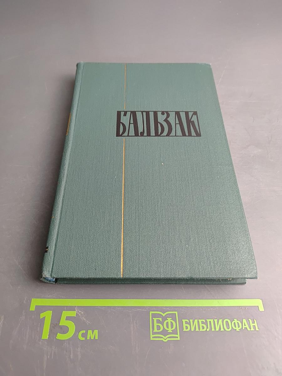 Человеческая комедия. Том 19