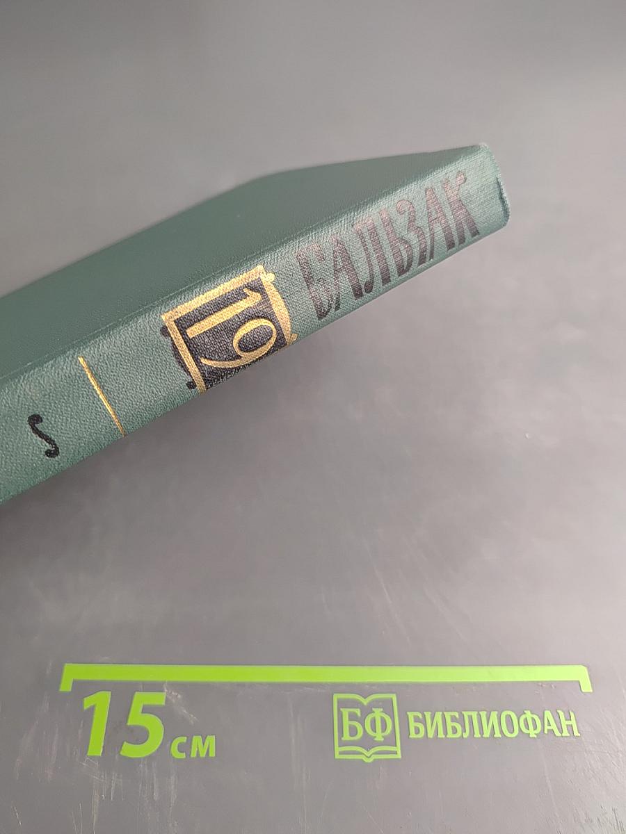 Человеческая комедия. Том 19