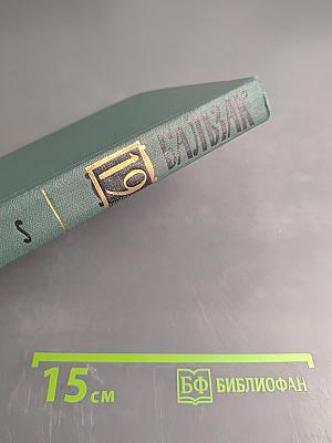 Человеческая комедия. Том 19