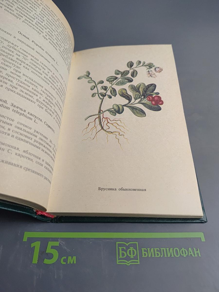 Лекарственные растения и продукты пчеловодства