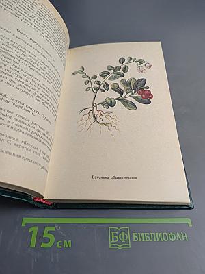 Лекарственные растения и продукты пчеловодства