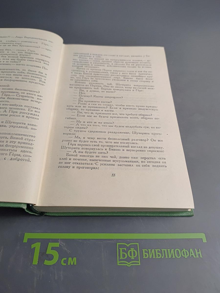 Собрание сочинений. Том второй. Гора. Роман