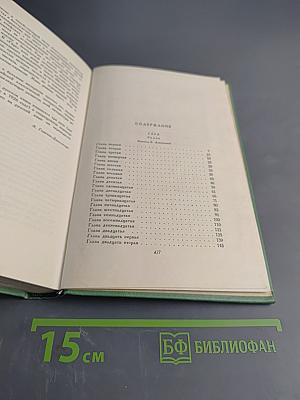 Собрание сочинений. Том второй. Гора. Роман