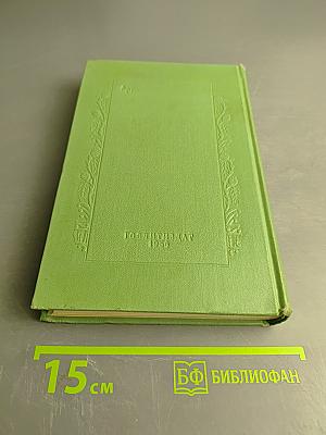 Собрание сочинений. Том второй. Гора. Роман