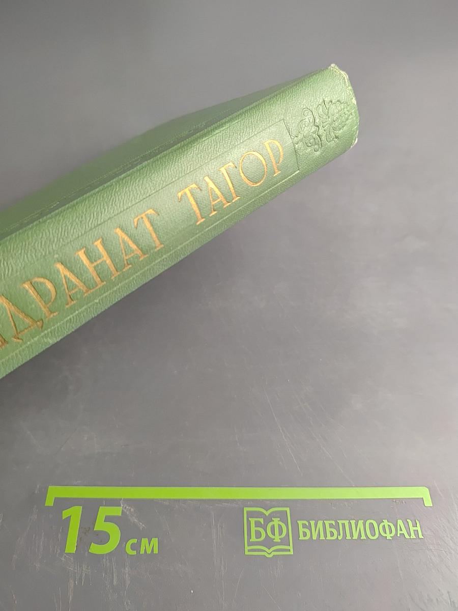 Собрание сочинений. Том второй. Гора. Роман