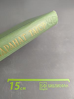 Собрание сочинений. Том второй. Гора. Роман