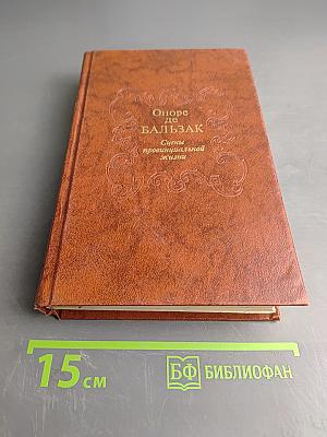 Сцены провинциальной жизни