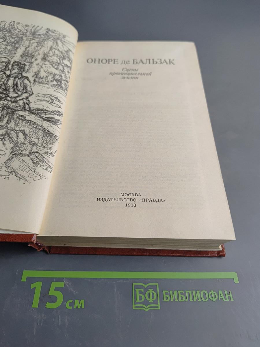 Сцены провинциальной жизни