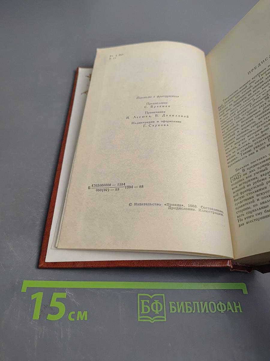 Сцены провинциальной жизни