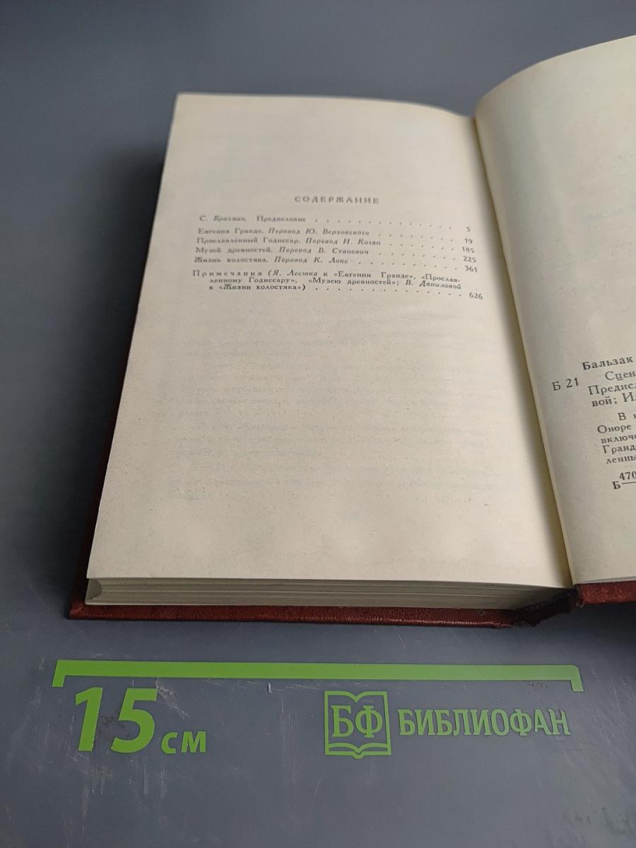 Сцены провинциальной жизни