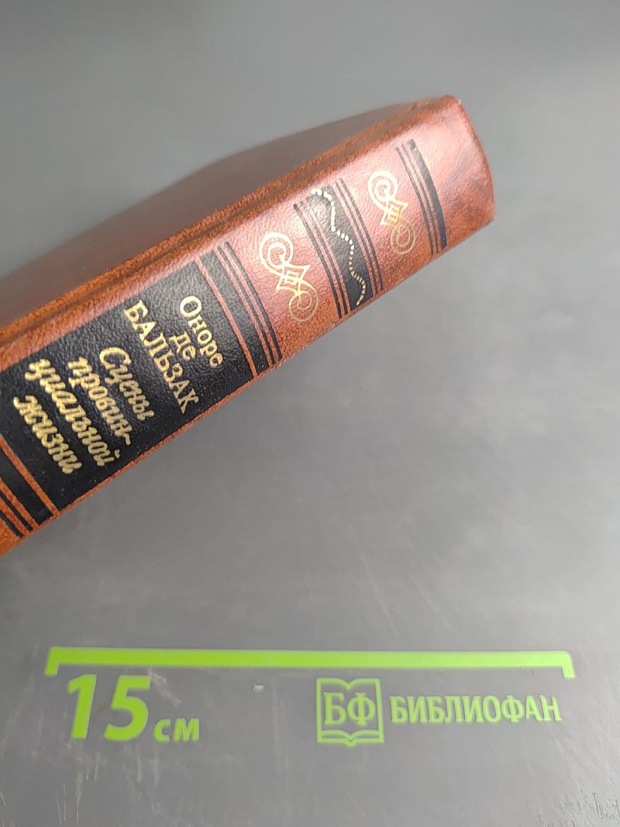 Сцены провинциальной жизни