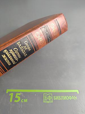 Сцены провинциальной жизни