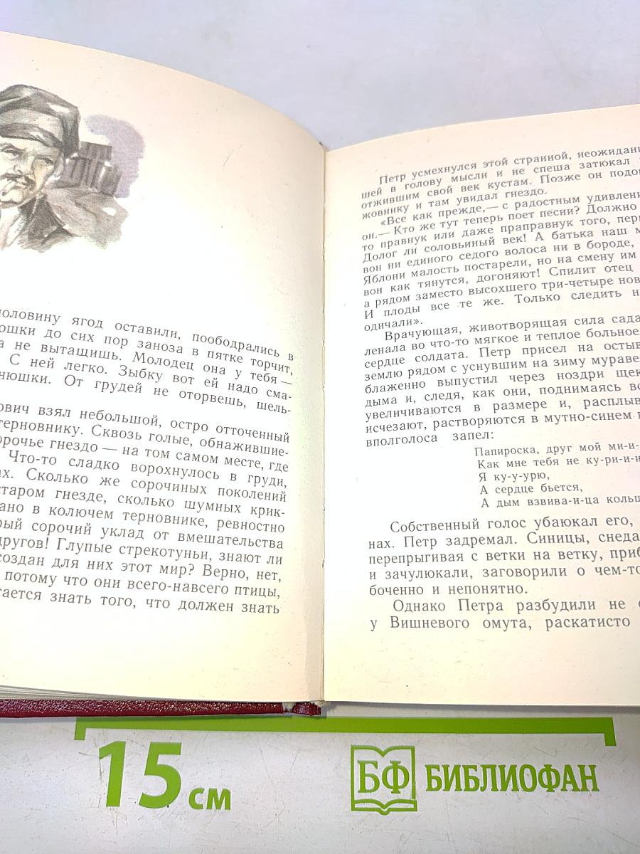 Вишневый омут