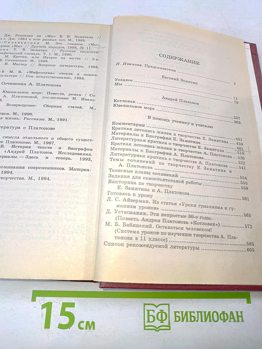 Ездуное мы. Котлован. Ювенильное море