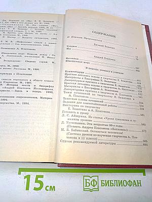 Ездуное мы. Котлован. Ювенильное море