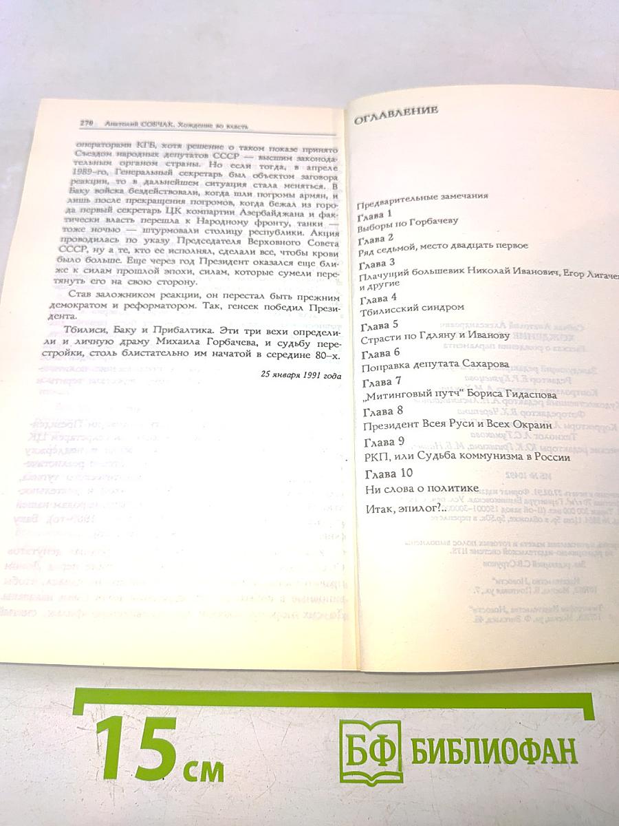 Хождение во власть