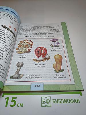 Окружающий мир 3 класс Часть 1