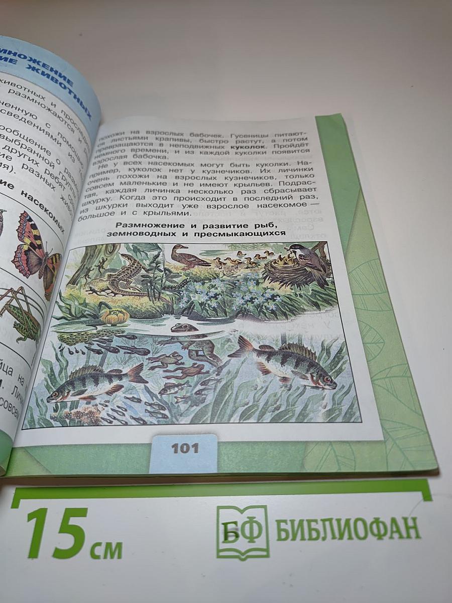 Окружающий мир 3 класс Часть 1