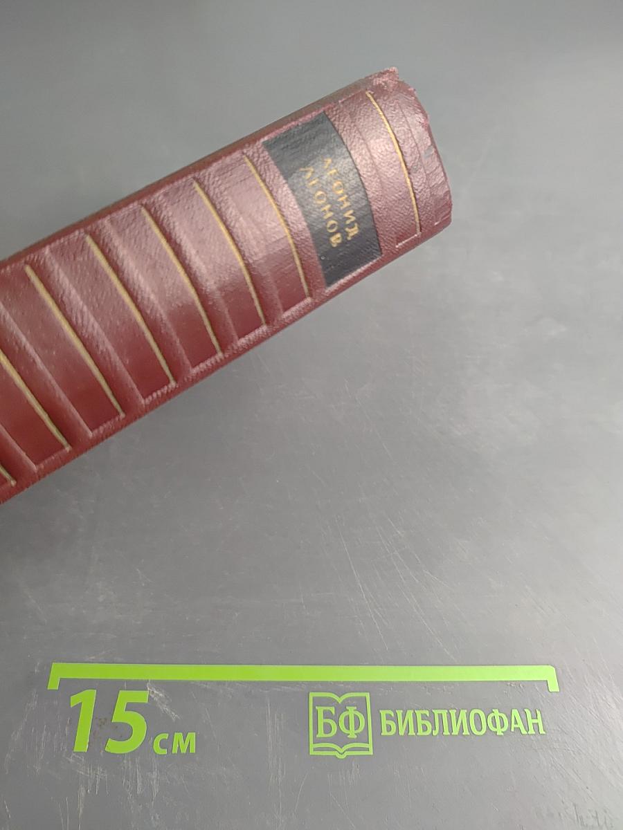 Собрание сочинений. Том шестой. Дорога на океан