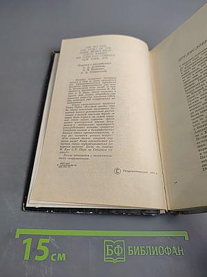 Большой гвоздь