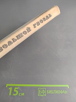 Большой гвоздь